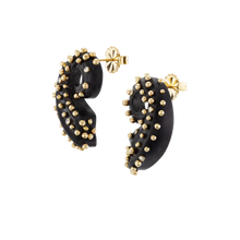 Load image into Gallery viewer, Ebony Spiral Earrings