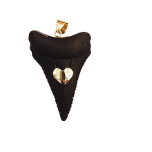 Load image into Gallery viewer, Ebony Shark's Tooth 2