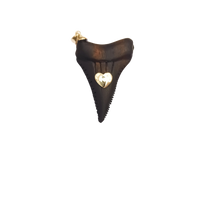 Load image into Gallery viewer, Ebony Shark's Tooth 3