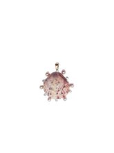 Load image into Gallery viewer, Scallop Shell Halo
