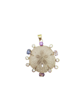 Load image into Gallery viewer, Br542 - Sand Dollar Halo