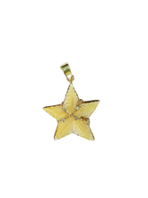 Load image into Gallery viewer, Starfish Pendant