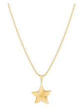 Load image into Gallery viewer, Starfish Pendant