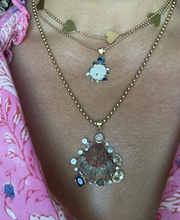 Load image into Gallery viewer, Blue Halo Sand Dollar