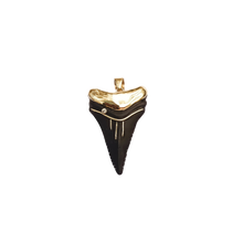 Load image into Gallery viewer, Ebony Shark's Tooth 2
