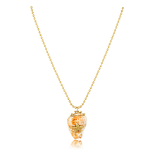 Load image into Gallery viewer, Miter Shell with Starfish