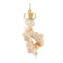 Load image into Gallery viewer, Coral Pendant