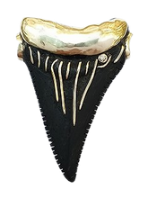 Load image into Gallery viewer, Ebony Shark Tooth