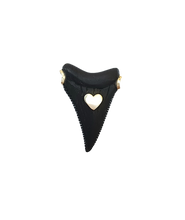 Load image into Gallery viewer, Ebony Shark Tooth