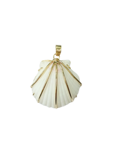 Load image into Gallery viewer, White Shell 1