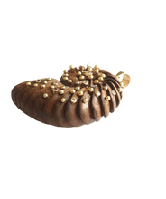 Load image into Gallery viewer, Carved Walnut Ammonite