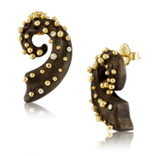 Load image into Gallery viewer, Walnut Spiral Earrings