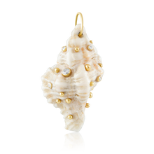 Load image into Gallery viewer, White Spiral Shell