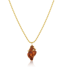 Load image into Gallery viewer, Brown Spiral Shell