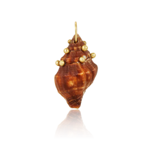 Load image into Gallery viewer, Brown Spiral Shell