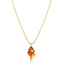 Load image into Gallery viewer, Brown Spiral Shell