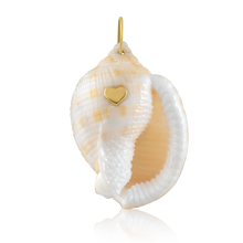 Load image into Gallery viewer, Amethyst Shell