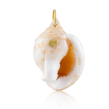 Load image into Gallery viewer, Aquamarine White Shell