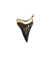 Load image into Gallery viewer, Ebony Shark's Tooth 3