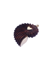 Load image into Gallery viewer, Carved Walnut Ammonite Shell