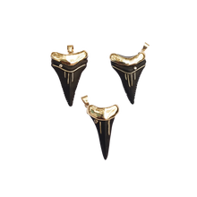 Load image into Gallery viewer, Ebony Shark's Tooth 3