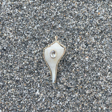 Load image into Gallery viewer, Whelk Shell