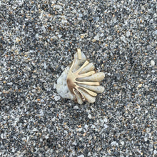 Load image into Gallery viewer, Kitten Paw