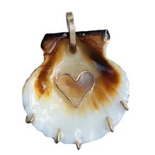 Load image into Gallery viewer, br103 - Scallop Shell