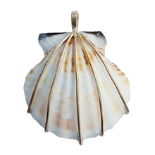 Load image into Gallery viewer, br103 - Scallop Shell