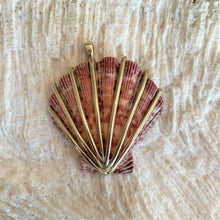 Load image into Gallery viewer, br013 - Lions Paw