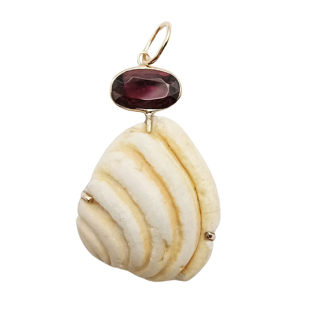 White Ribbed Shell with Rubellite Tourmaline Pendant