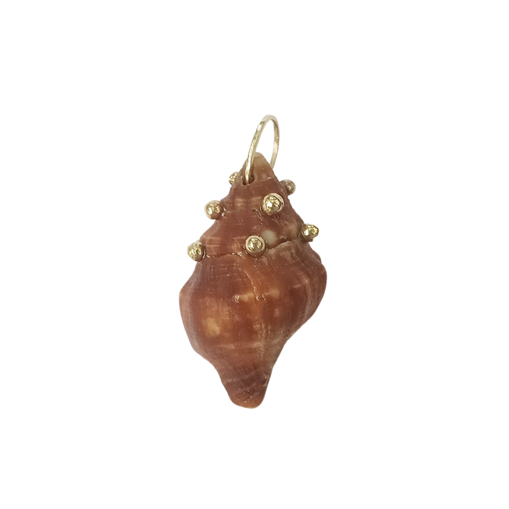Brown Spiral Shell – CCWW Designs