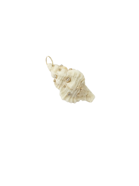 White Spiral Shell