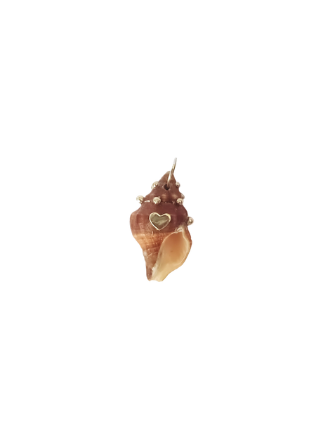 Brown Spiral Shell