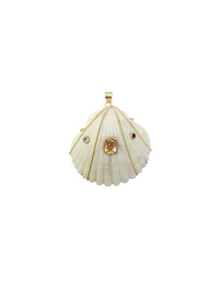 White Scallop Shell