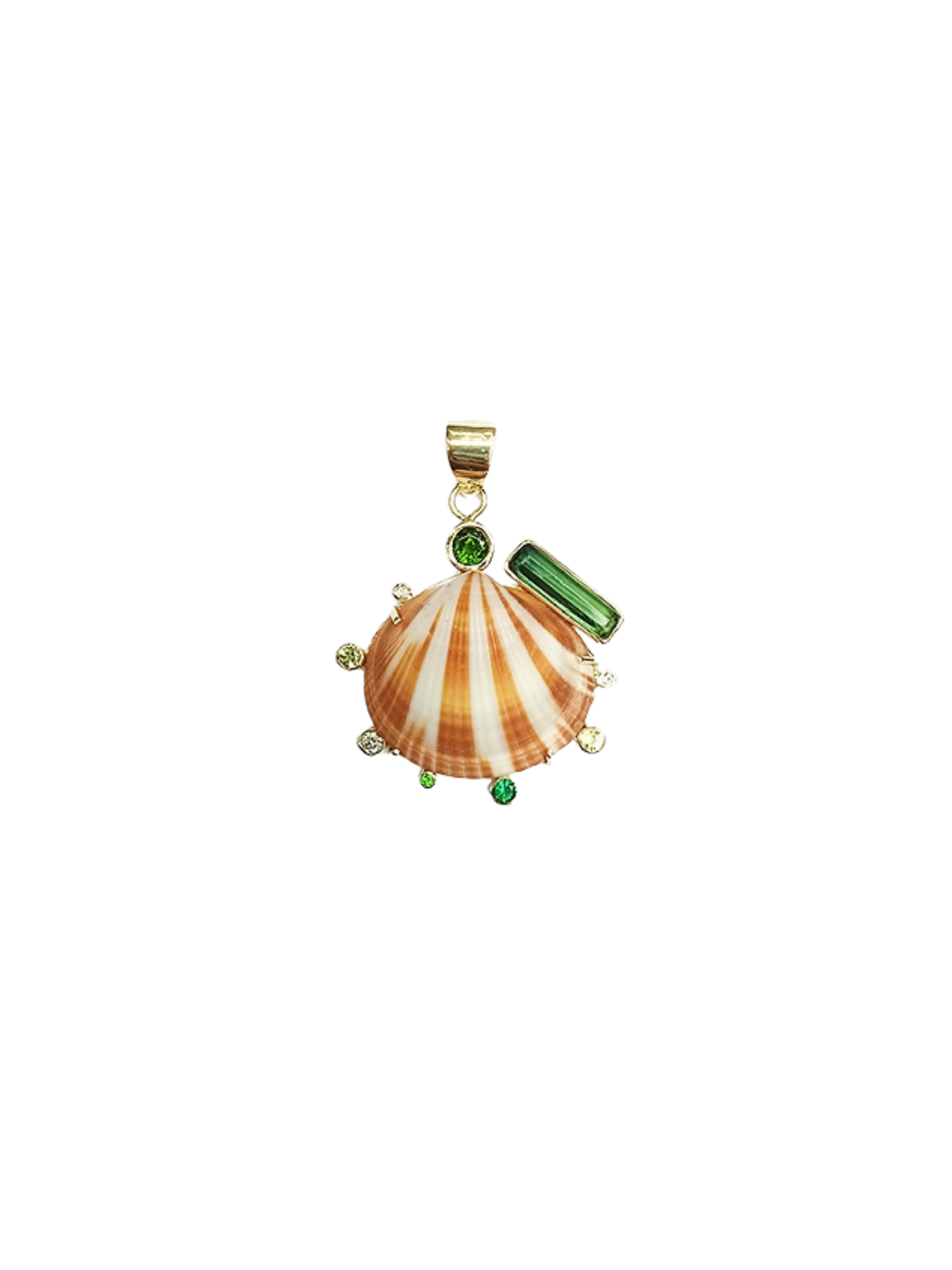 Br574- Striped Scallop Halo Shell – CCWW Designs
