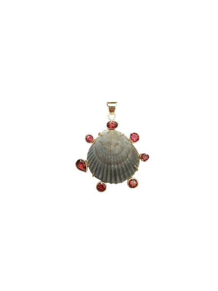 Grey Scallop Halo Shell