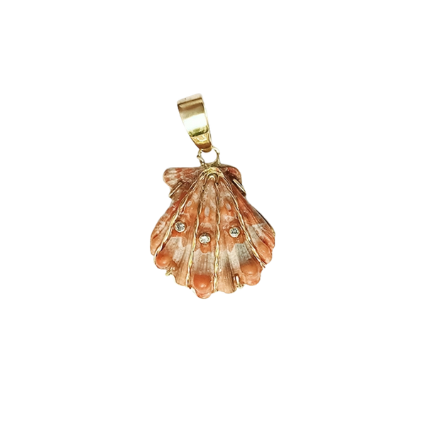 Orange Lions Paw Shell