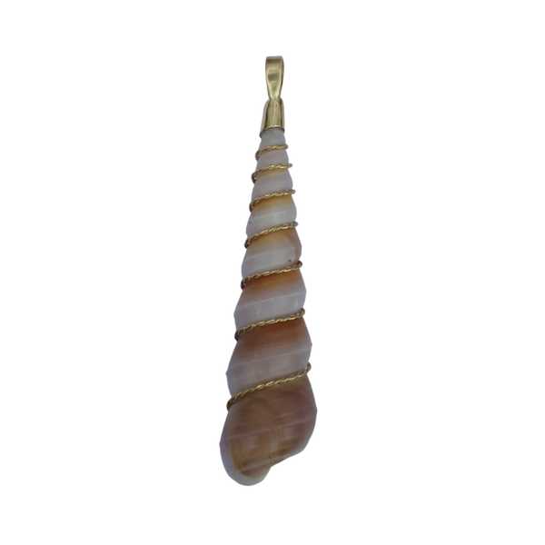 Auger Shell
