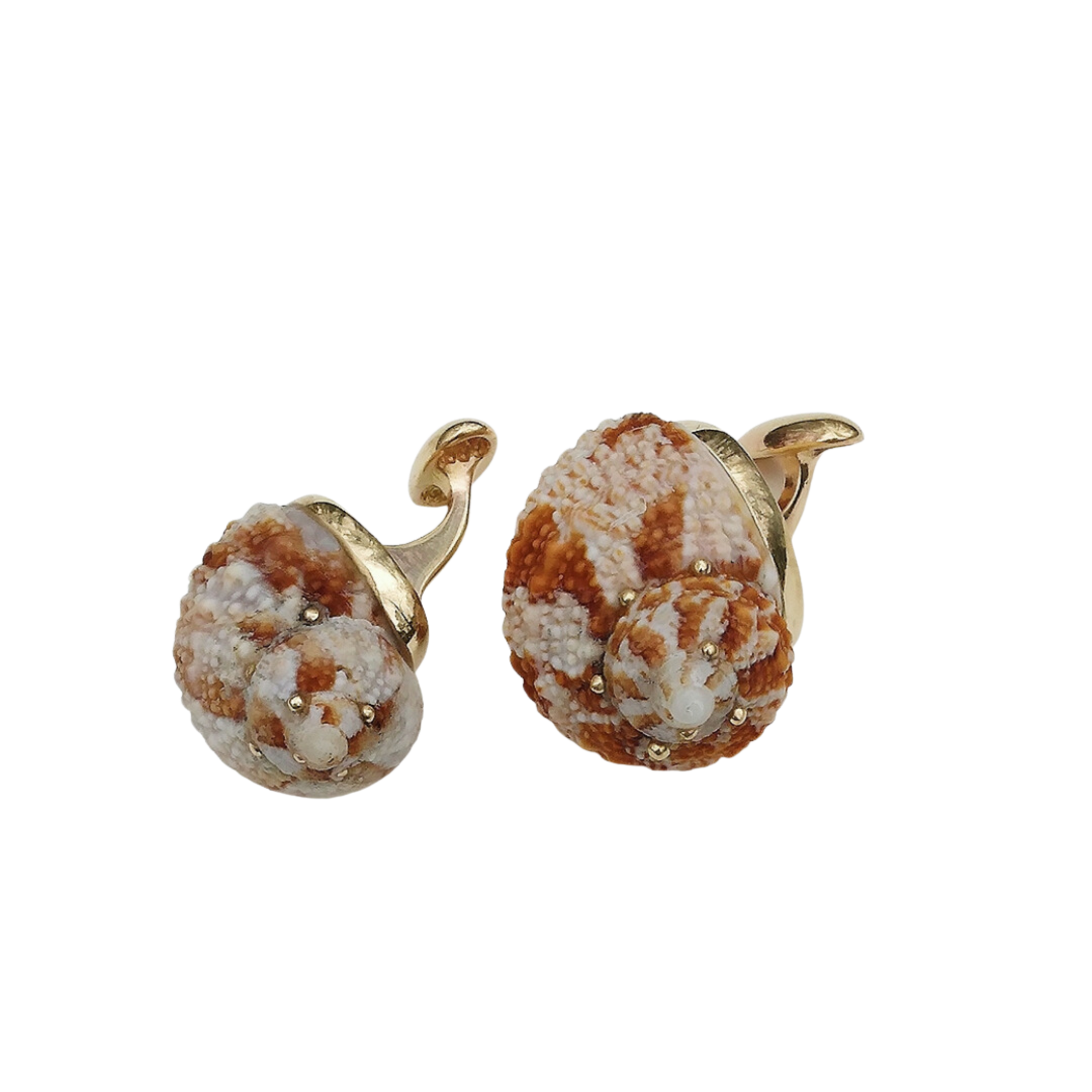 Spiral Shell Cufflinks – CCWW Designs