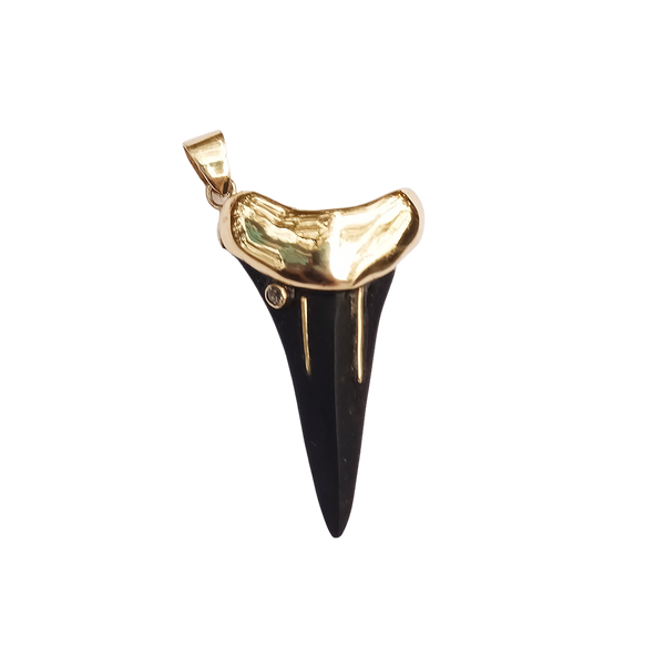 Ebony Shark's Tooth 4