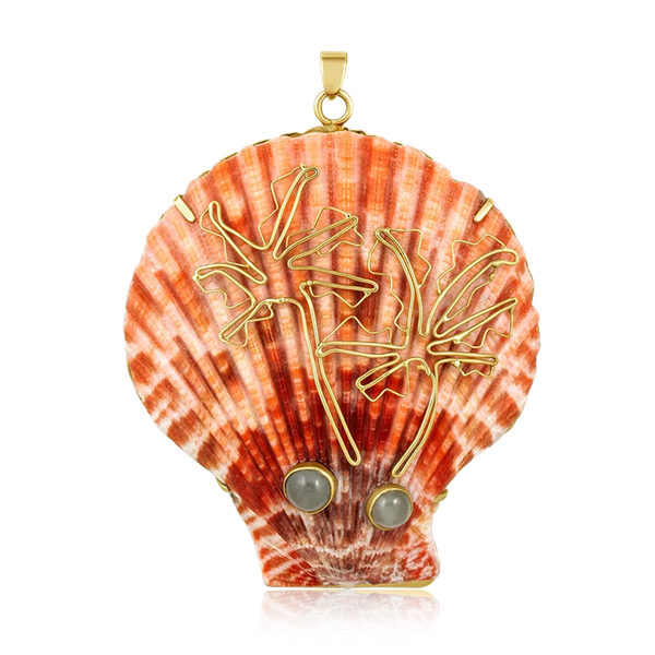 Palm Tree Scallop Shell