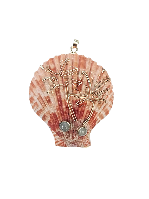 Palm Tree Scallop Shell