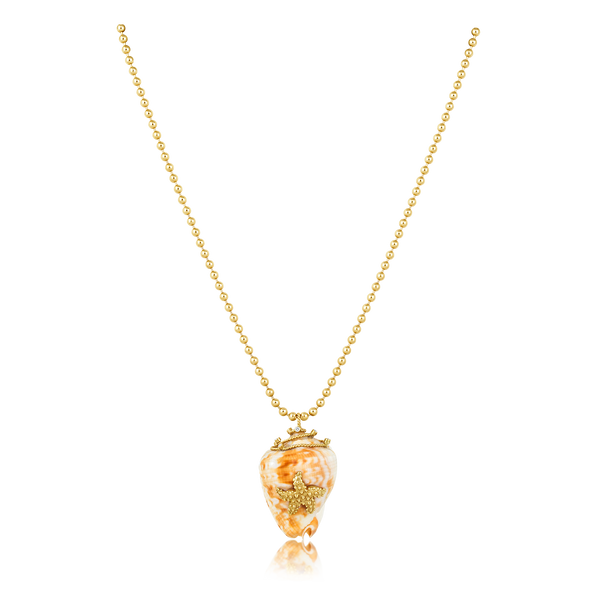 Miter Shell with Starfish
