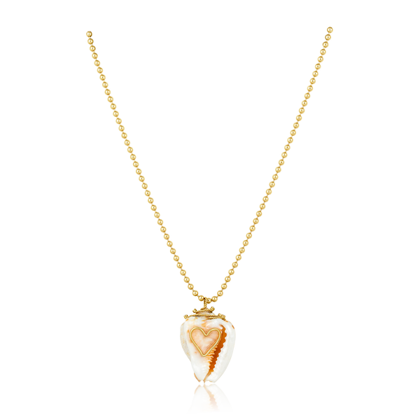 Miter Shell with Starfish