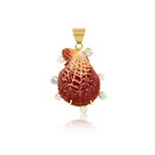 Load image into Gallery viewer, Brown Halo Clam Shell
