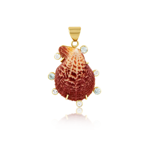 Brown Halo Clam Shell