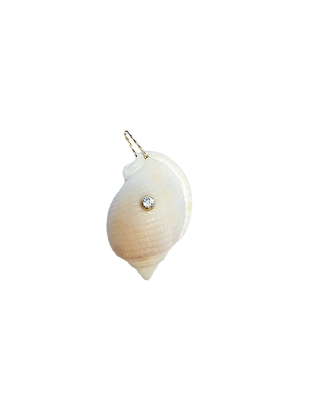 White Shell Pendant