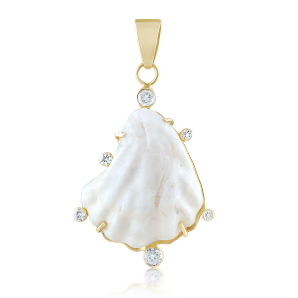 White Kitten's Paw Shell