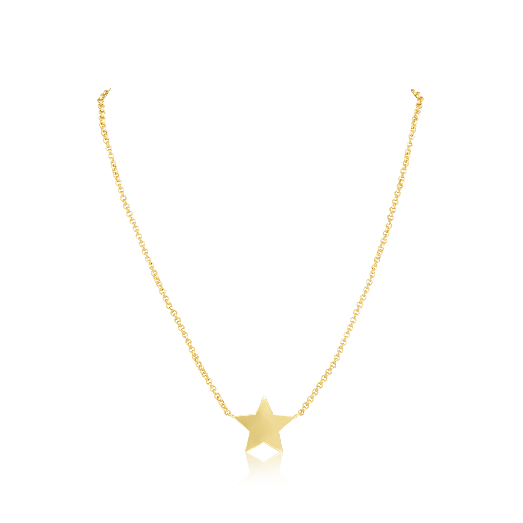 14k Gold Single Charm Necklace